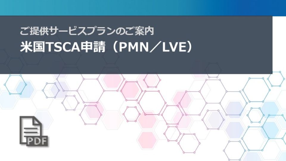 導入ガイドブックのプレビュー画像